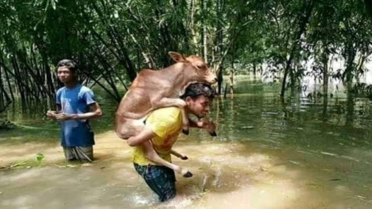 असम में इंसानियत की मिसाल