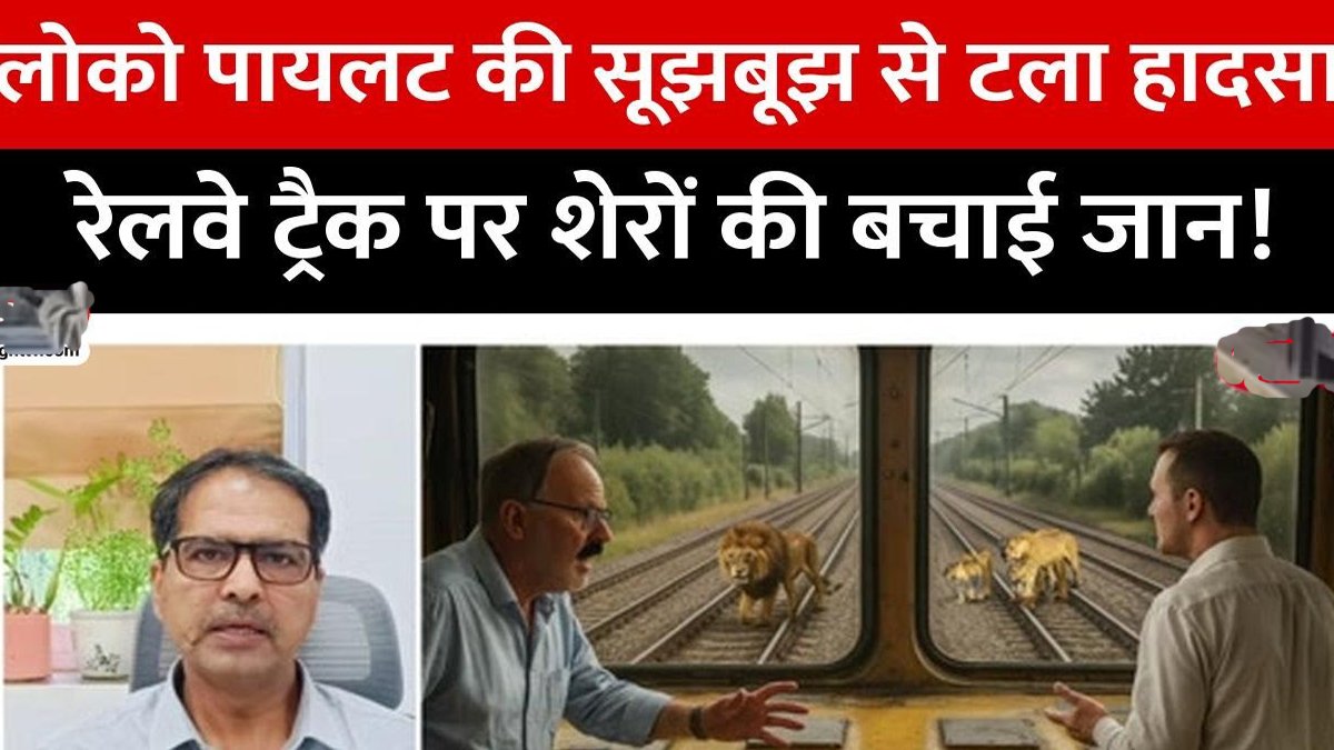 गुजरात: 5 शेर और सामने ट्रेन