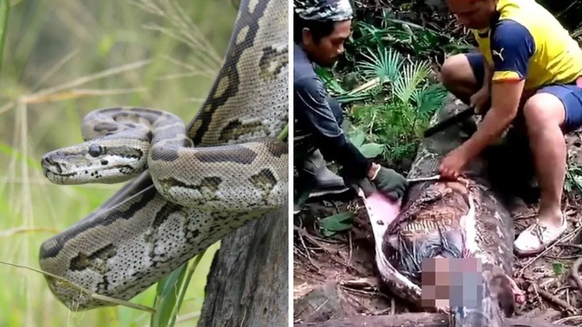 इंडोनेशिया से हैरान कर देने वाली घटना